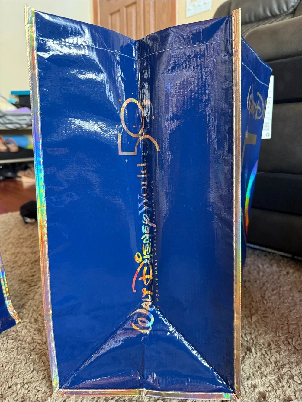 Disney set wdw